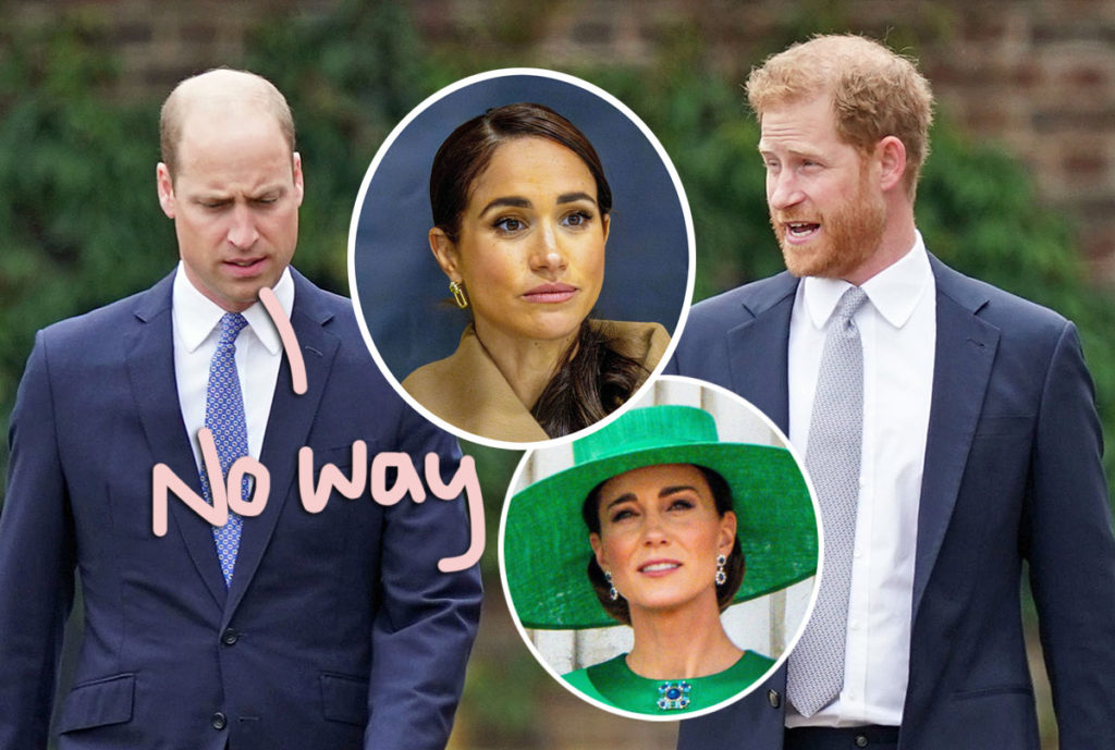 Prince Harry & Prince William 'Will Never Reconcile' Now That Sussexes Have 'Their Own Agenda' Post-Royal Life!