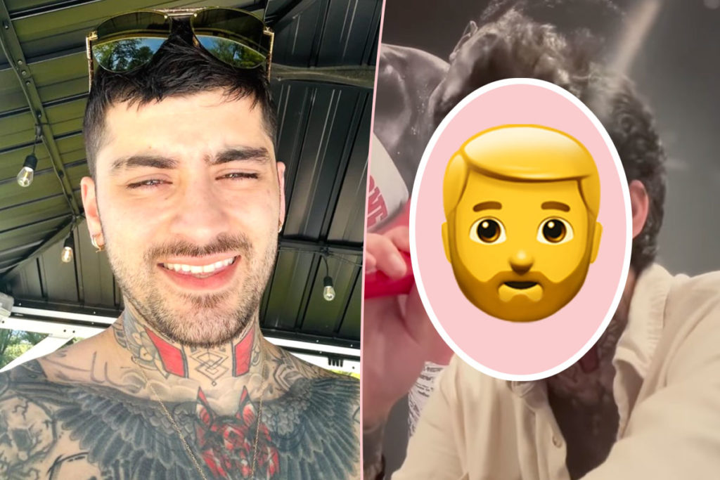 Zayn Malik's Big Beard - Yay Or Nay?? - Perez Hilton