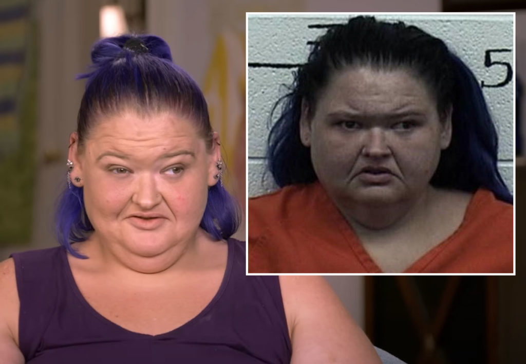 1,000-Lb. Sisters' Amy Slaton Seen Wheeled Out Of Zoo To Ambulance After Camel Bite!