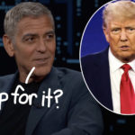 George Clooney Has The PERFECT Response To Donald Trump Wanting Him To Get Out Of Politics!
