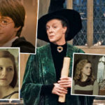 Daniel Radcliffe & Other Harry Potter Alums Pay Tribute To 'Legend' Maggie Smith After Her Death