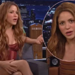 Disgusting! Shakira Calls Out Fan Who Recorded An Upskirt Video Of Her Mid-Performance!