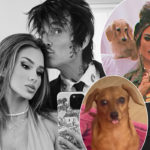 Tommy Lee's Wife Brittany Furlan Manages To Rescue Small Dog FROM COYOTE'S MOUTH!