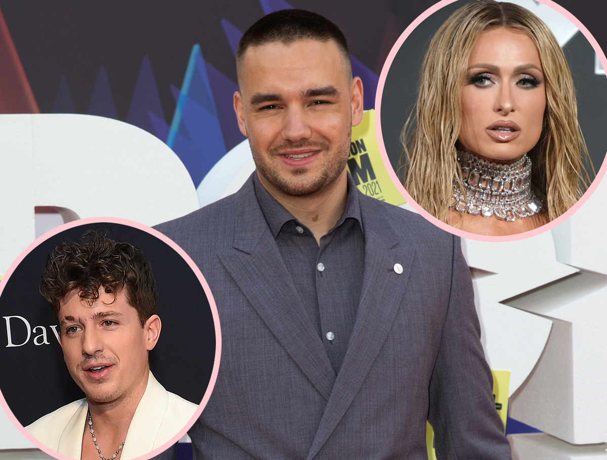 Camila Cabello, Paris Hilton, Charlie Puth, And More Celebs React To