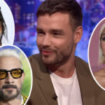 Liam Payne's Final TV Show Completed Filming -- But It May Never Come Out!