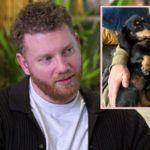 Love Is Blind Star Stephen Goes NUCLEAR On Fan For Suggesting He Has Sex With His Dog!