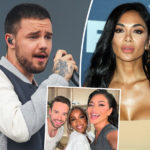 Nicole Scherzinger Mourns Liam Payne -- Who She Was Texting The Day He Died