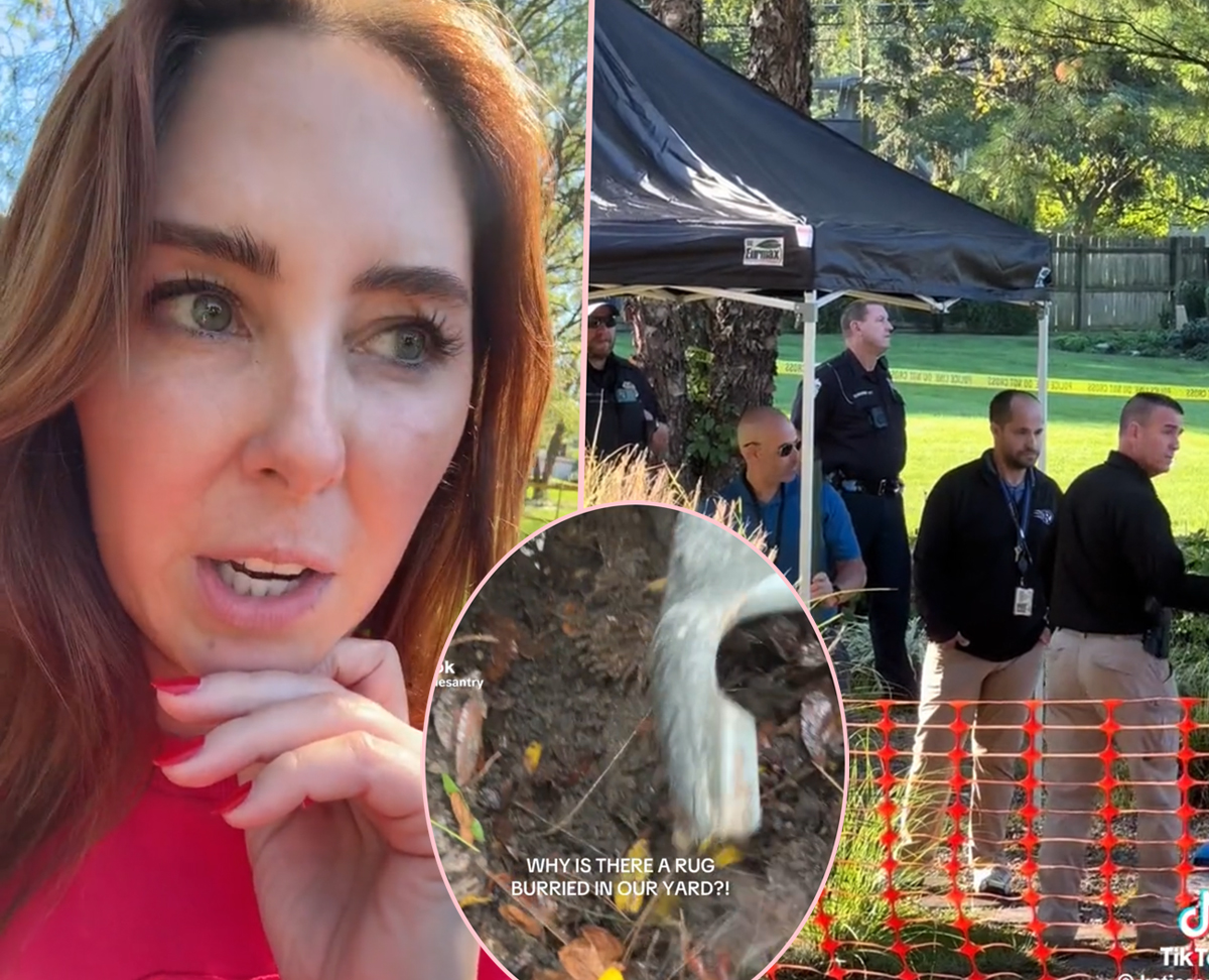 TikToker Who Found Mysterious Rug Buried In Her Yard FINALLY Reveals