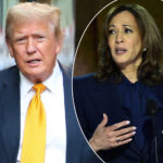 Donald Trump Reportedly Called Kamala Harris WHAT?!