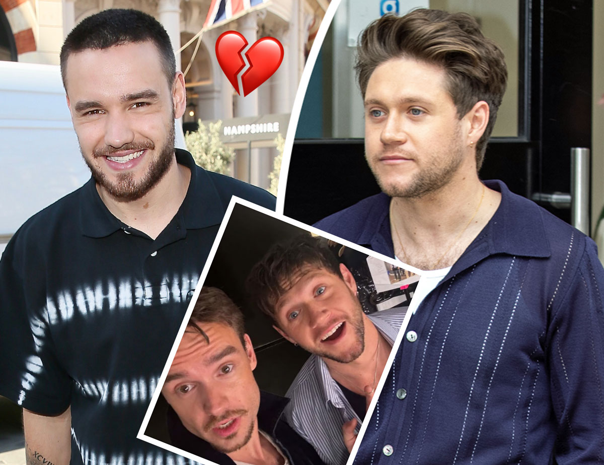 Niall Horan Reflects On 'Heartbreaking' Last Time Seeing Liam Payne ...