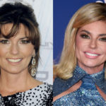 Shania Twain's 'Unrecognizable' New Look -- Celeb Plastic Surgeons Say…