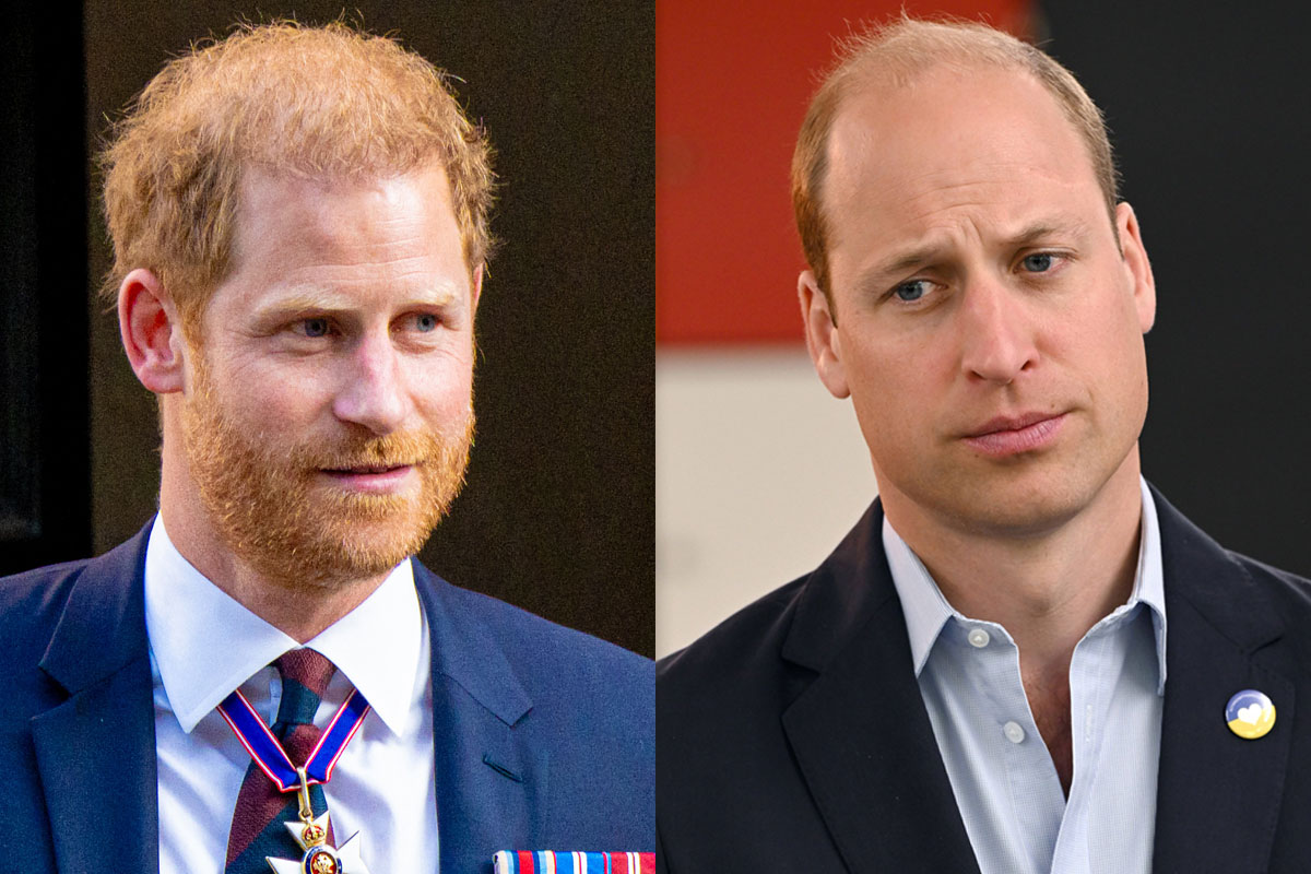 Prince William Makes Rare Public Comment About Prince Harry Amid