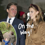 Princess Beatrice Is Pregnant! All The Deets On Her Second Child’s Due Date!