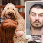 Woman's Dog Helped Police Solve Her Brutal Murder