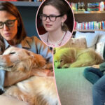 Jennifer Garner’s Dog Died -- But Didn’t Let Go Until Daughter Violet Came ‘Home From College'