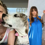 Kaley Cuoco Gave Up Her Beloved Pup -- Because Of This Heartbreaking Reason Involving Fiancé Tom Pelphrey's Dog