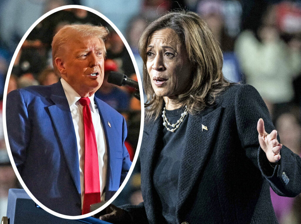 Watch Kamala Harris Speak Out After Losing Presidential Election 'The