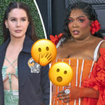 Lizzo VS Lana Del Rey? No, The BRUTAL Viral Feud Tweets Aren't Real