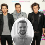 Harry Styles, Louis Tomlinson, Niall Horan, & Zayn Malik Come Together To Mourn The Loss Of One Direction Bandmate Liam Payne