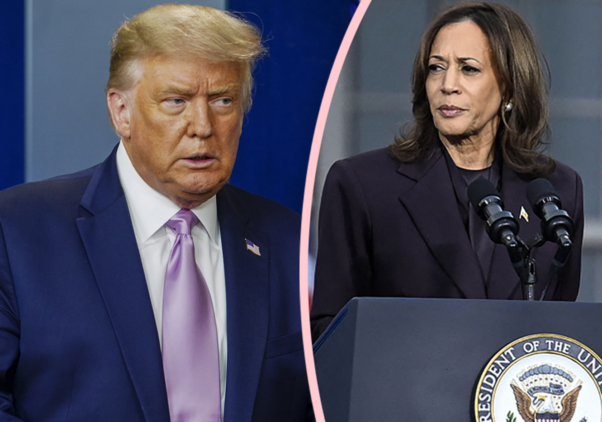 Most Talked About Stories Of 2024: Presidential Election