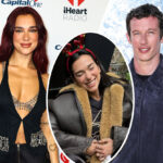 Surprise! Dua Lipa & Boyfriend Callum Turner Get ENGAGED For Christmas After Just A Year Of Dating!