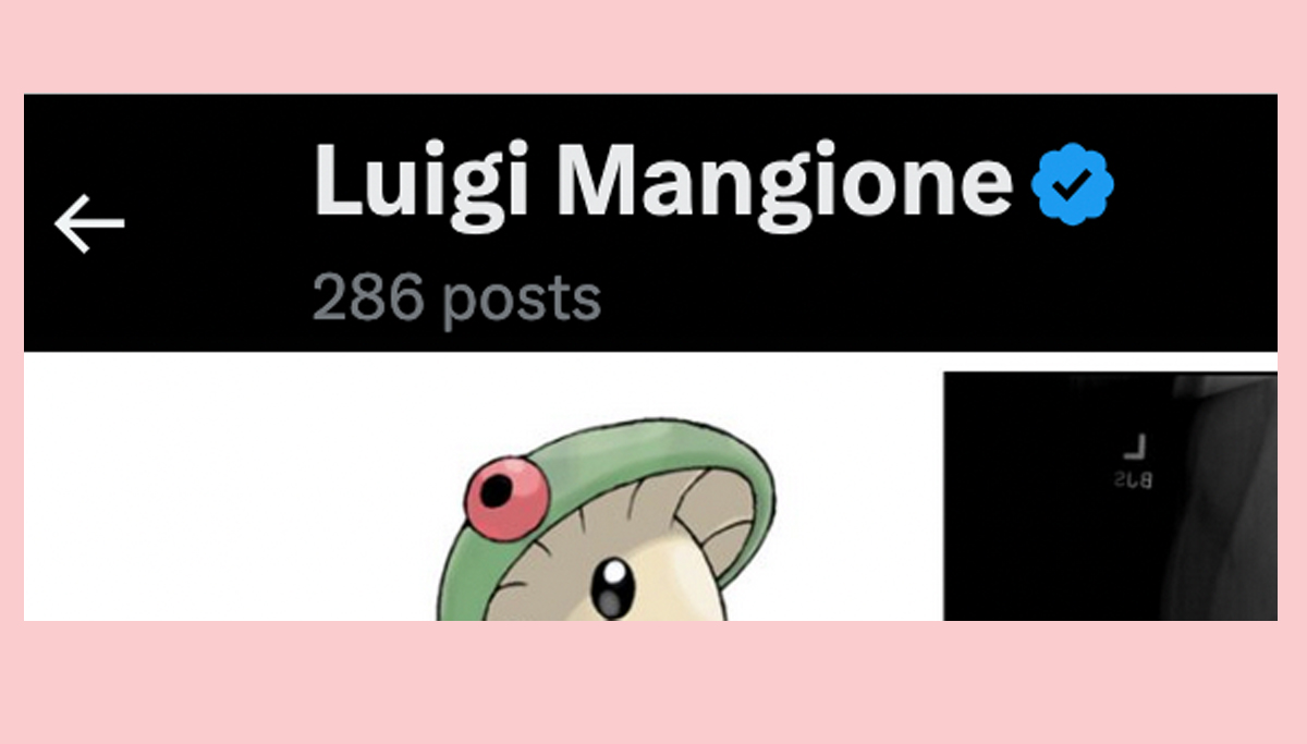 Luigi Mangione Twitter posts