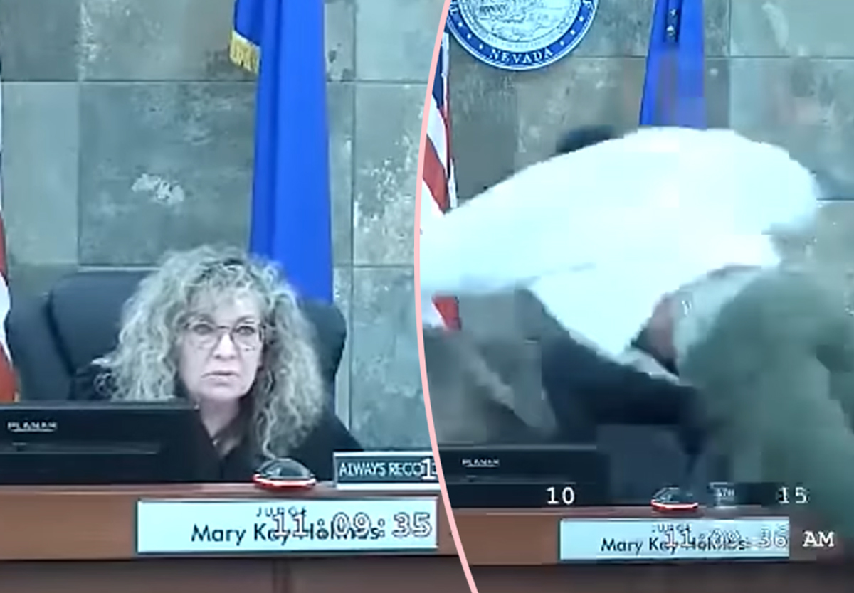 Man Who Leapt Toward Judge In Viral Courtroom Video Sentenced FOR HOW LONG?!