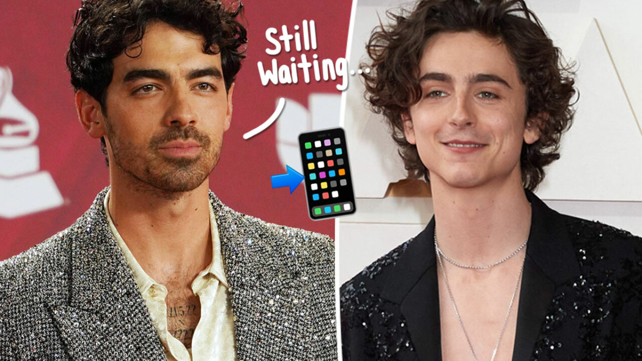 Timothée Chalamet Left Joe Jonas On Read! - Perez Hilton