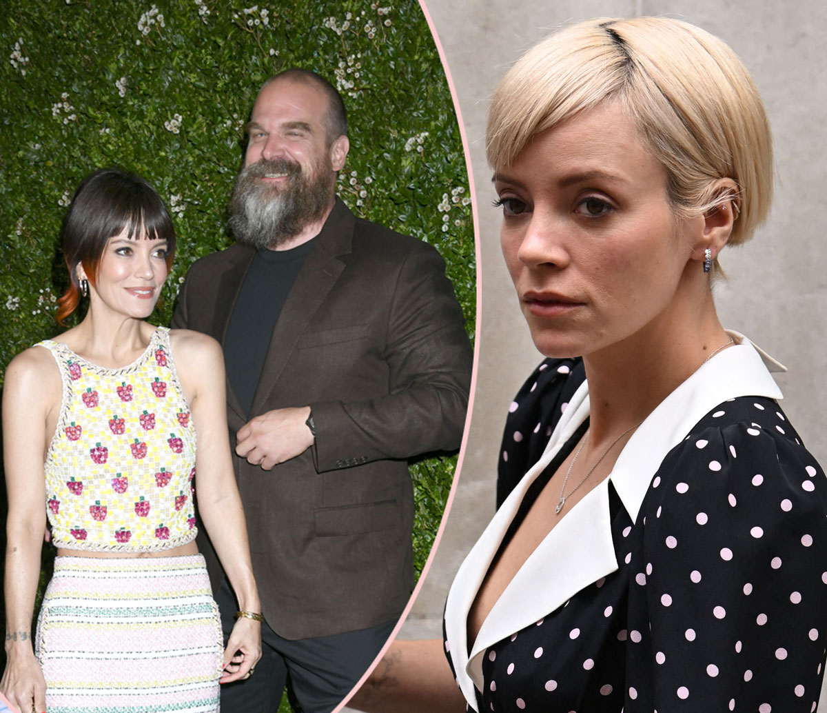 Lily Allen & David Harbour Are DONE! Her Dating Profile Is 'Active' -- And Ready For Other Women!