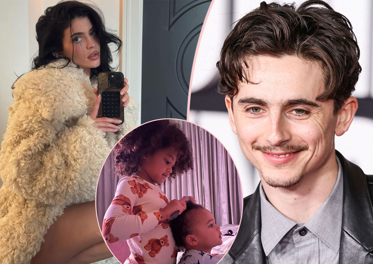 Kylie Jenner & Timothée Chalamet Spent 'Magical' Early Christmas Together  With Stormi & Aire!