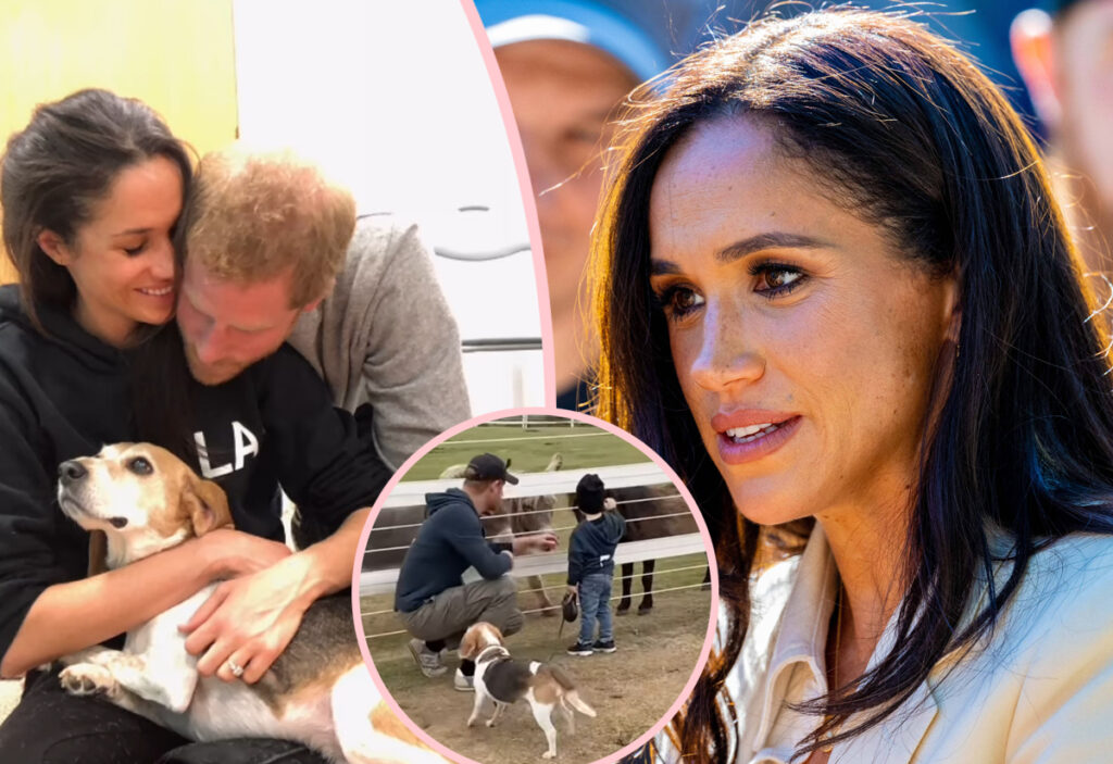 Meghan Markle Mourns Death Of Family's Rescue Dog -- And Gives Fans First Time Hearing Archie & Lilibet