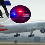 'Several Members' Of US Figure Skating Team & Russian Champions Onboard Plane That Collided With Army Helicopter -- No Survivors