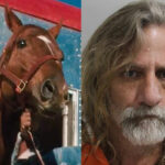 WTF! Florida Man Arrested For Allegedly Trying To Do WHAT To A Horse?!