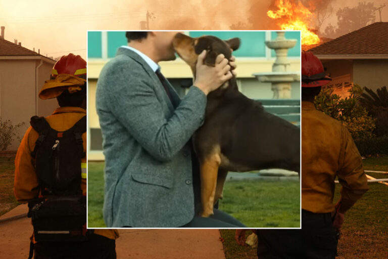 Pacific Palisades Resident Emotionally Reunites With Lost Dog 5 Days