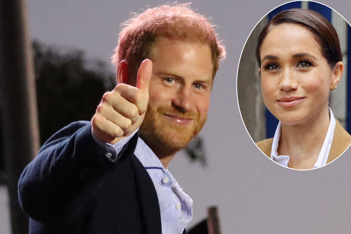 'Disaster Tourist' Prince Harry IS Helping Fulfills Elderly LA Fire