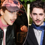 Timothée Chalamet FINED For Arriving To London Premiere On A Bike!