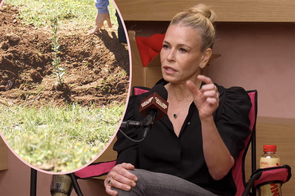 Chelsea Handler Tree Revenge Ex Toxic Relationship