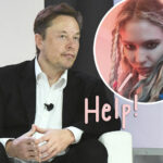 Grimes Accuses Elon Musk Of Neglecting Their Child's 'Medical Crisis': 'This Is Urgent'