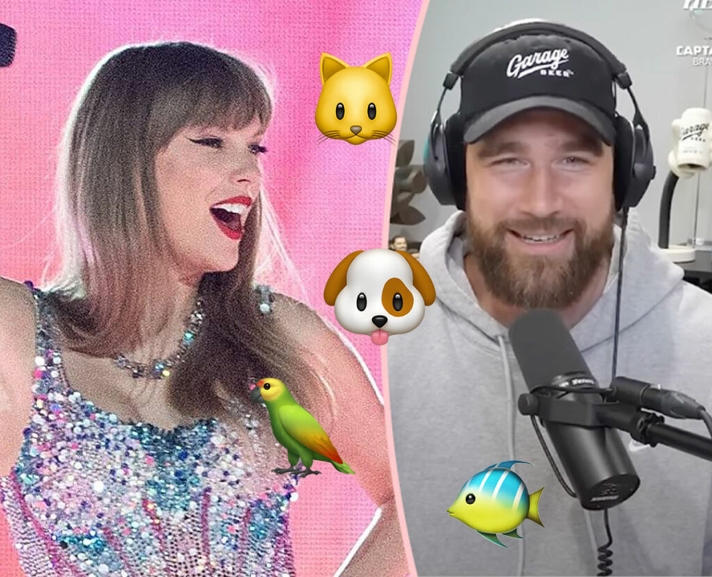 Aww! Taylor Swift & Travis Kelce Got A New Pet Together! - Perez Hilton