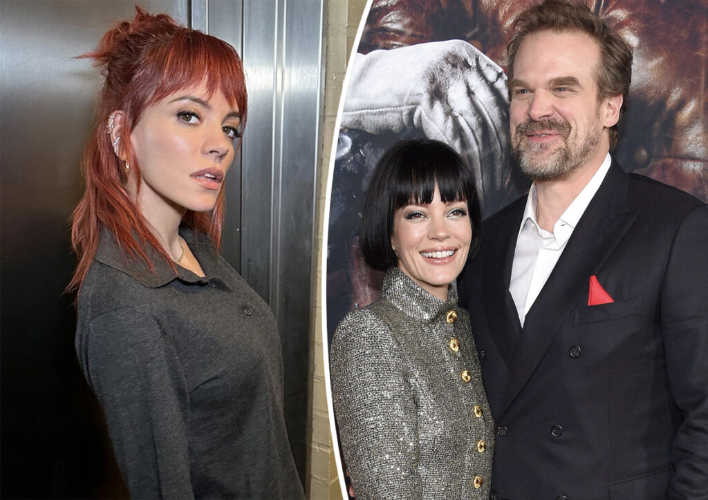 David Harbour Cheated Lily Allen 3 Year Affair Costume Designer Broke Rules