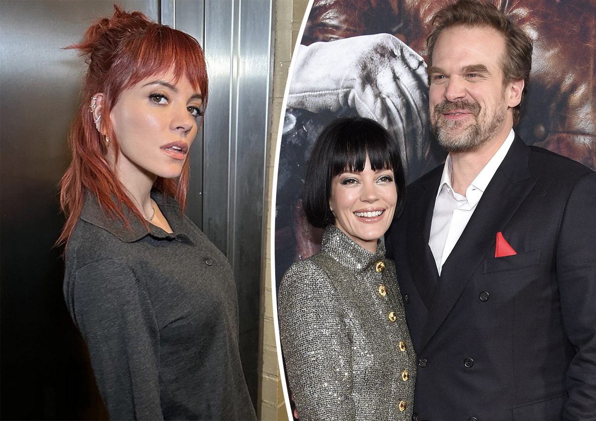 David Harbour Didn’t Just Cheat! He Broke Lily Allen’s Heart With 3-Year Affair That Broke All The Rules: REPORT