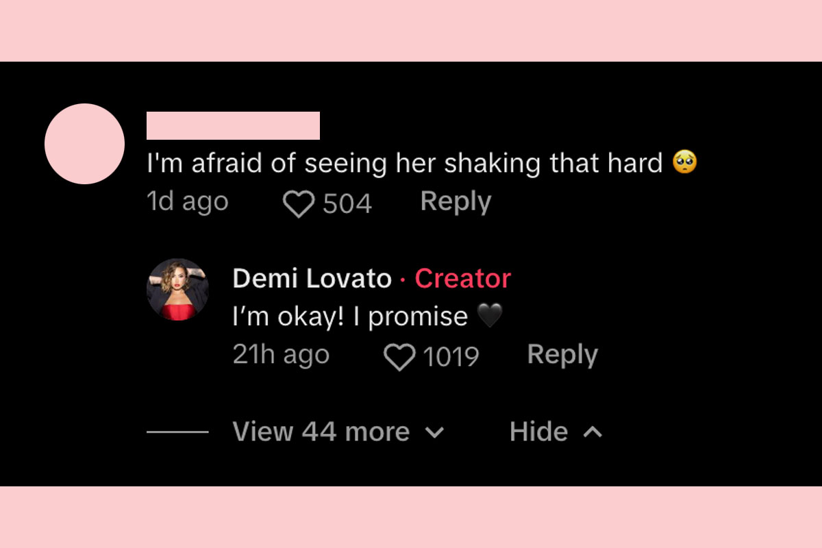 Demi Lovato responds to fanata worried about vibrating while cooking tiktok