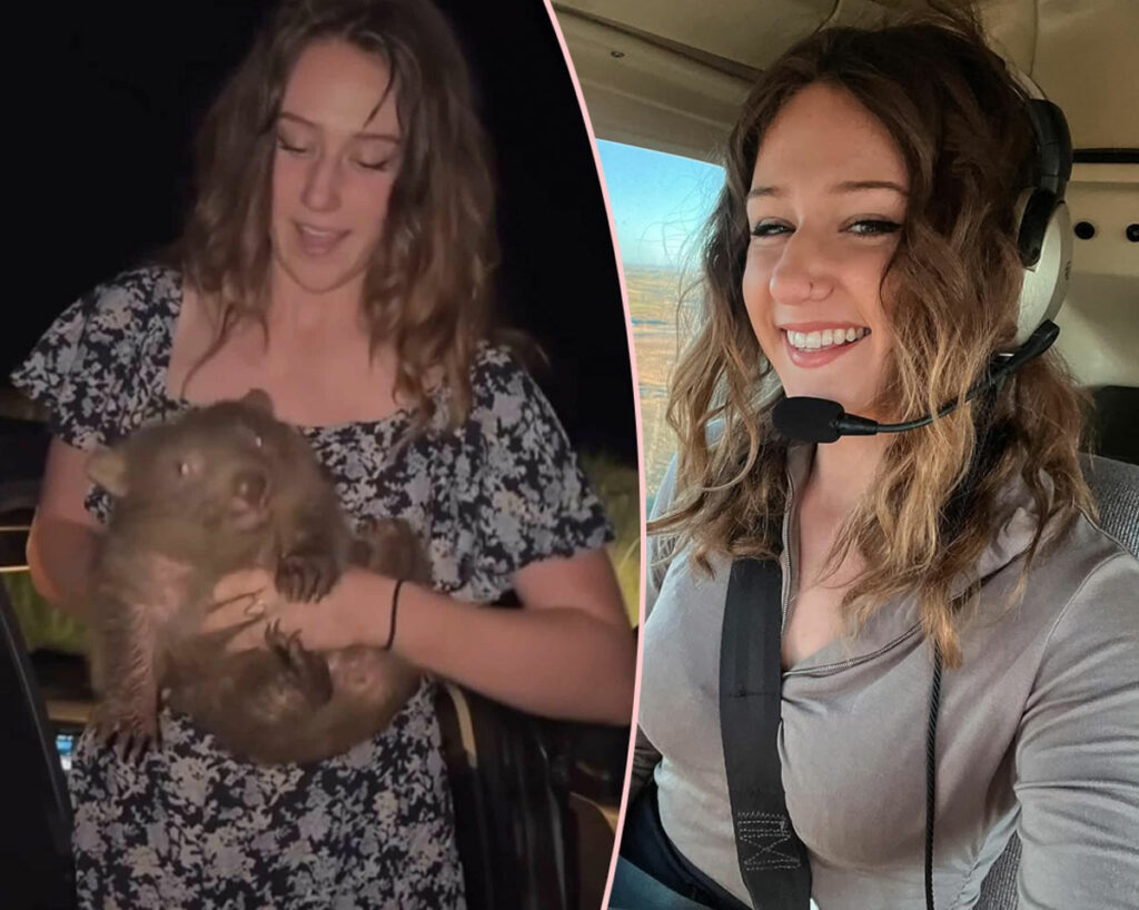 Influencer Apologizes After Taking Baby Wombat From Its Mother