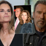 'Brutal' Arnold Schwarzenegger Divorce 'Broke' Maria Shriver's Spirit