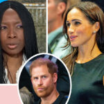Cringe Video Of Meghan Markle With Charity Chair Resurfaces After Harry Accused Of 'Harassment & Bullying'!
