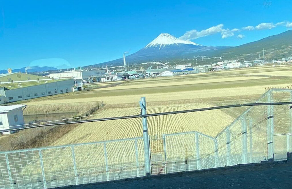 Rescued man goes back to Mt. Fuji to find his phone