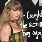 Taylor Swift ‘Close To Signing’ On To Play THIS Major Role: REPORT