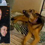 Gene Hackman's Dog Quietly Guards Wife Betsy's Body In Heart-Wrenching Bodycam Footage From Inside Hoarder-Like Home