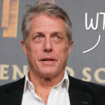 Hugh Grant Slams ‘Creepy’ & ‘Intrusive’ Interaction Airport Officer Had With His Children