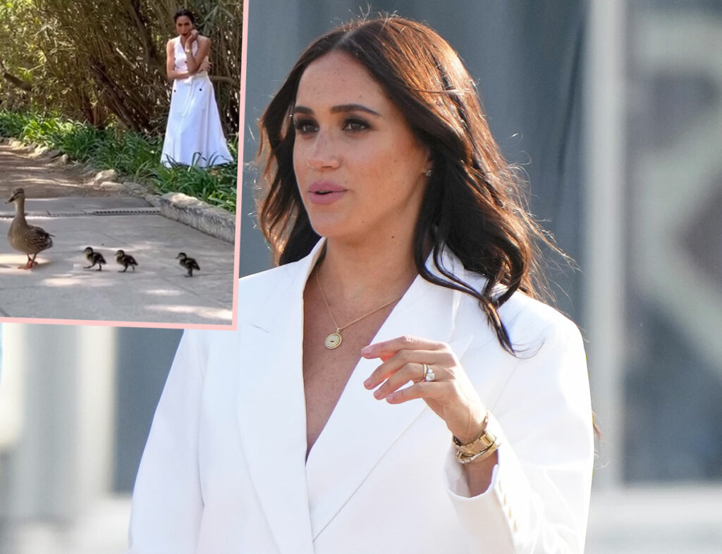 Fans Think Meghan Markle Staged Cute Duckling Video!